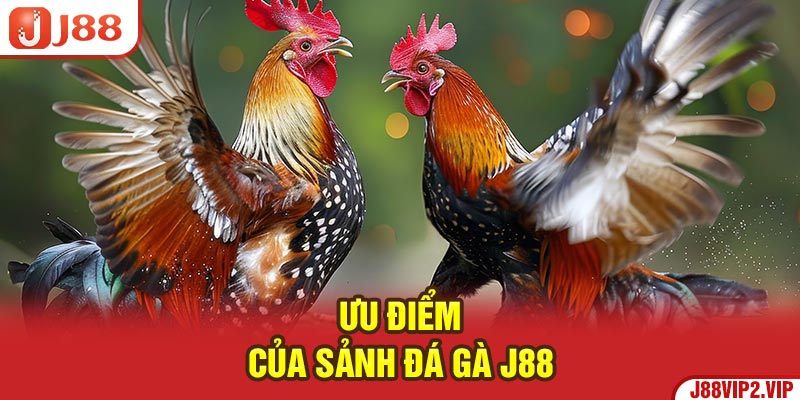 Ưu điểm của sảnh Đá Gà J88