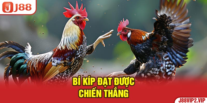 Bí kíp đạt được chiến thắng