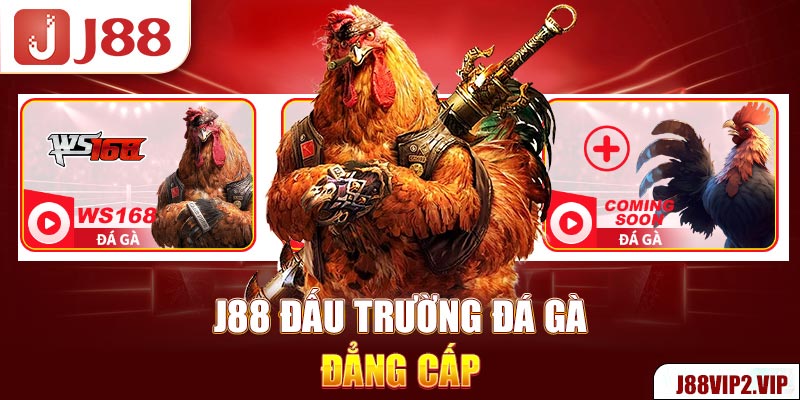 J88 đấu trường đá gà đẳng cấp